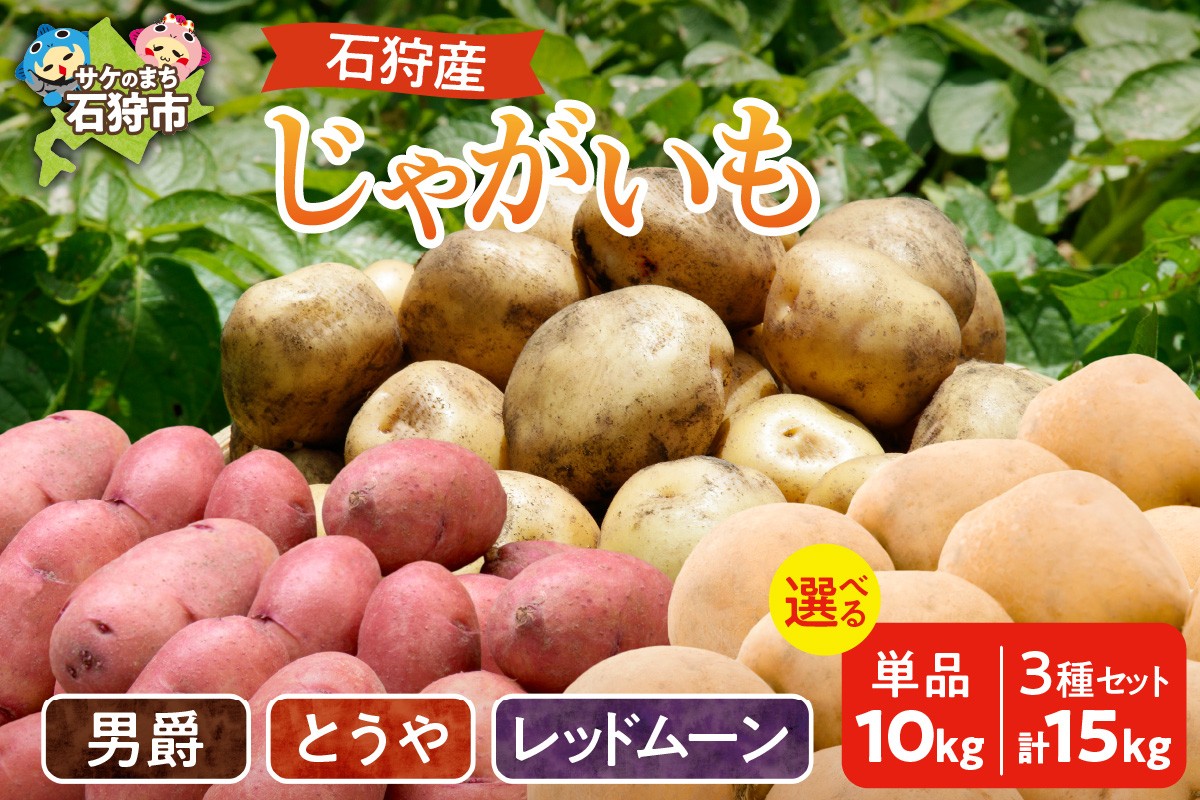 
            【品種を選べる】石狩産じゃがいも(男爵・とうや・レッドムーン・３種混合)10kg・15kg｜ふるさと納税 石狩市 北海道 北海道産 新じゃが 新じゃがいも ジャガイモ 芋 イモ じゃが芋 薯 洞爺 レッド 品種 色々 珍しい 赤いじゃがいも 珍しいじゃがいも 洞爺 男爵薯 男爵芋 ほくほく トウヤ れっどむーん 赤色
          