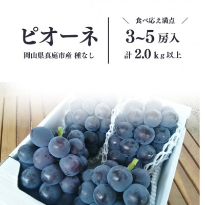 【きよとうファーム】ピオーネ 上級品3-5房入/計2kg~(岡山県産)【配送不可地域:離島】
