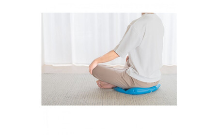 整体師監修 骨盤 クッション スイッチャー (腰ケア 骨盤ケア 腰サポート オフィスチェア） ｜ 健康 器具 整体 矯正