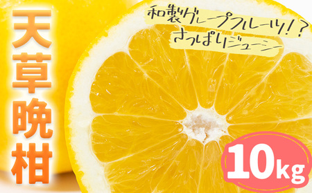 【先行予約】柑橘 天草晩柑 10kg｜晩柑晩柑晩柑 都呂々