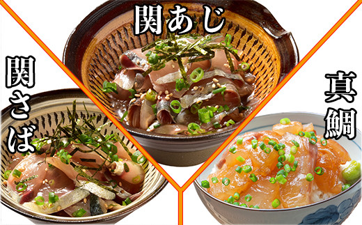 [1月発送開始]＜定期便・全3回＞大分郷土料理りゅうきゅう全9種を3回に分けてお届け！(3種×2食×3回) 刺身 冷凍 セット 海鮮 漬け 産地直送 大分県 真空パック 小分け 惣菜 人気 海鮮丼 漬