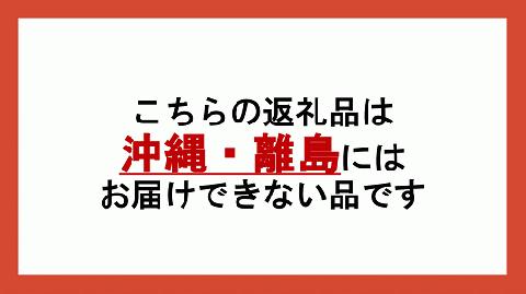 [0616]無添加 りんごジュース　1000mL×6本 ＜ラベル無し＞ 果汁100％　※沖縄および離島への配送不可　※2月中旬発送　長野県飯綱町