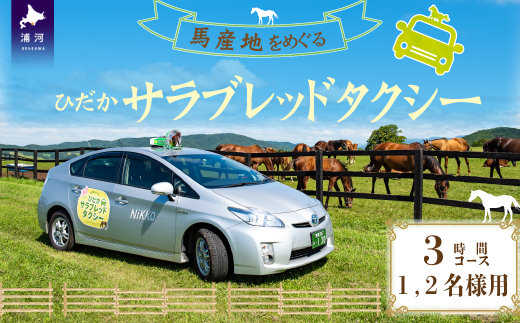 馬産地をめぐる「ひだかサラブレッドタクシー」3時間(1,2名様)コース[41-1102]_イメージ1