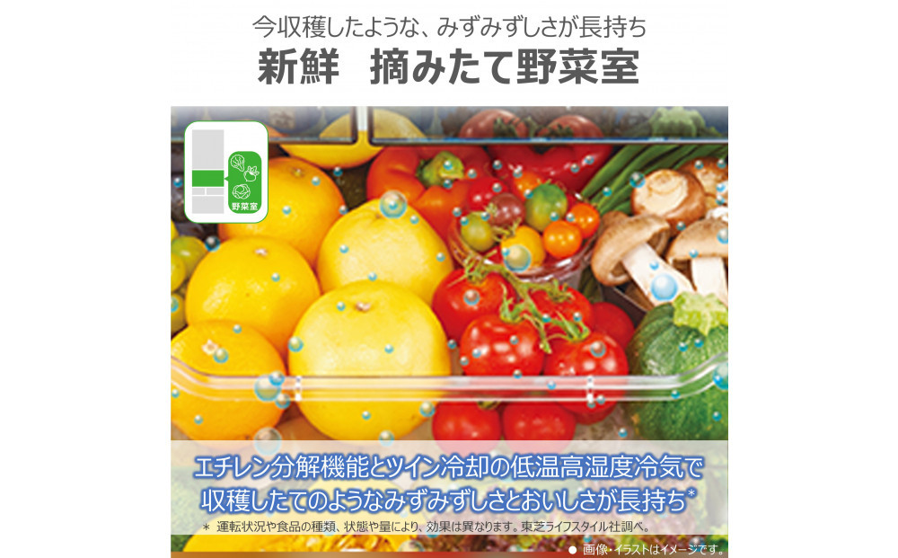 東芝　冷蔵庫【標準設置費込み】　601L　6ドア　両開き　冷凍冷蔵庫　GR-Y600FH(EW)