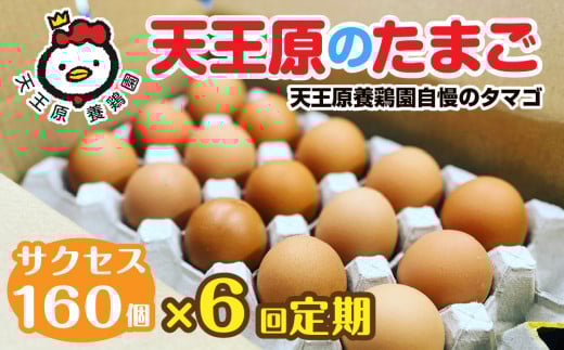 【定期便】6回定期【天王原のたまご】 サクセス卵160個入り【定期便 6回定期便 セット たまご 卵 玉子 タマゴ 濃厚  ハリ 弾力 ボリューム 甘味 旨味 卵黄 風味 生 コク 甘味 卵かけご飯 卵焼き 目玉焼き オムレツ 茶碗蒸し お菓子作り パンの材料】