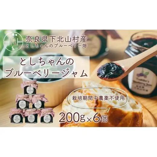 【先行予約】9月～順次発送 としちゃんのブルーベリージャム200gx6個 手摘み 下北山村産 栽培期間中農薬不使用 無添加
