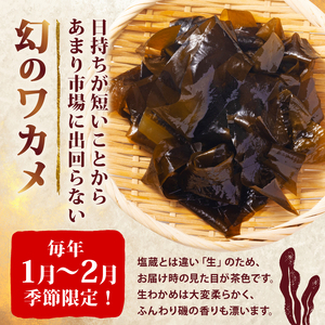 先行予約 早採り生わかめ 1.6kg(200g×8) わかめ