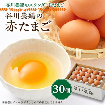 【ふるさと納税】【生みたて濃厚】谷川養鶏の赤たまご　30ヶ入り(※サイズ指定できません)【配送不可地域：離島】【1390294】