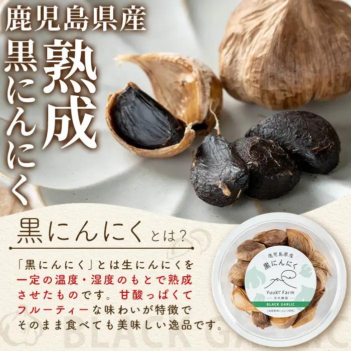【A93002】農家直送 鹿児島県産 熟成 黒にんにく(計約240g・約120g×2パック) 鹿児島 国産 ニンニク 大蒜 ガーリック 野菜 薬味 発酵 小分け【悠希農園】