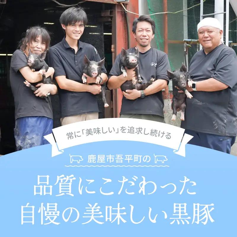 鹿児島県産 黒豚ロース しゃぶしゃぶ 500g、ロース とんかつ 4枚 KN054-020 肉 豚肉