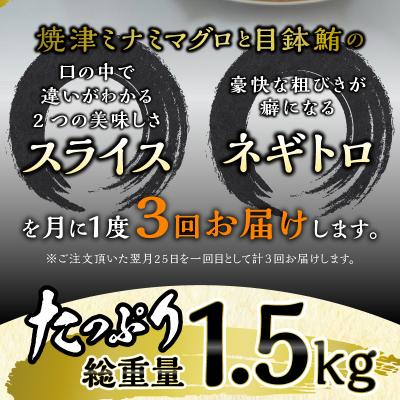 ふるさと納税 焼津市 海からの贈り物 焼津天然まぐろ三昧(3回お届け)定期便(a30-232) |  | 02