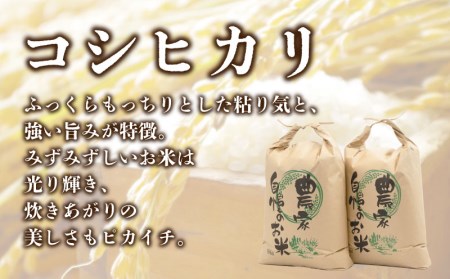 コシヒカリ10kg（5kg×2袋）＜都留市産＞【令和５年産】