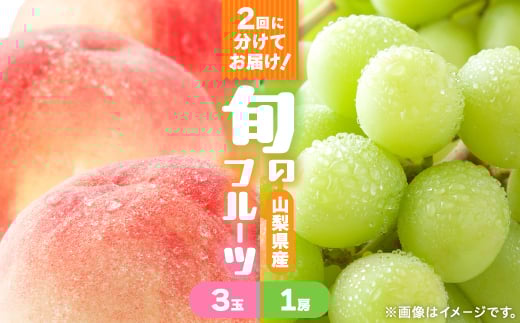 ＜発送月固定定期便＞桃3玉(1kg)　シャインマスカット1房(500g以上)全2回【4067604】