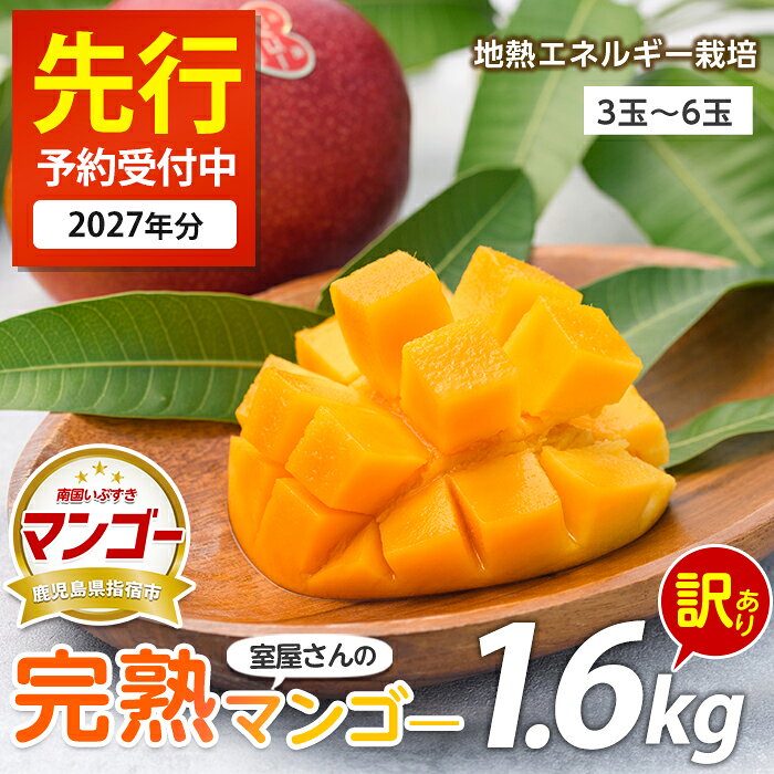 【ふるさと納税】＜先行予約受付中！2027年6月上旬以降順次発送＞＜訳あり・傷などのため規格外品＞室屋さんの完熟指宿産マンゴー(3玉〜6玉入・約1.6kg) 訳アリ マンゴー フルーツ 果物 デザート スイーツ 家庭用 自宅用 スムージー ヨーグルト【中園久太郎商店】