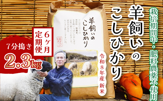 コシヒカリ【6か月定期便】《肥料・農薬：栽培期間中不使用》瀬戸内三原 羊飼いのこしひかり７分搗き 2.3kg  瀬戸内ビオファーム お米 こめ ご飯 002042