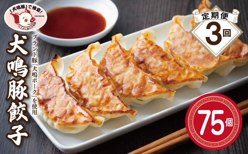 【泉佐野ブランド豚】犬鳴豚餃子 75個×3回【国産 豚肉 ぶたにく 定期便 犬鳴ポーク 焼くだけ 人気 総菜 冷凍】