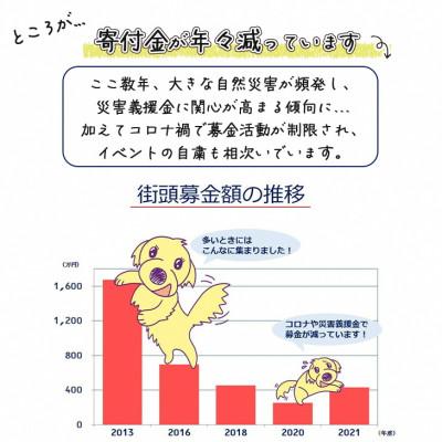 ふるさと納税 亀岡市 盲導犬訓練 支援寄付[盲導犬協会オリジナルグッズ]エコバッグなど3点 |  | 02