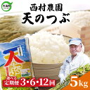 【ふるさと納税】 米 定期便 天のつぶ 5kg 選べる回数 3ヶ月 / 6ヶ月 12ヶ月 《 令和6年産 》 福島県 大玉村 西村農園 ｜ 新米 定期 3回 6回 12回 精米 白米 テンノツブ てんのつぶ コメ 送料無料 ｜nm-tt05-t-R6