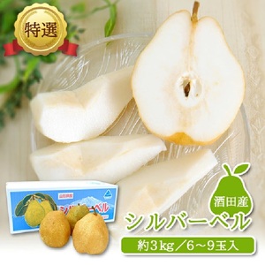 SA2642　 酒田産【特選】 西洋梨 シルバーベル　約3kg(6～9玉入)