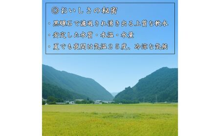 【先行受付】令和8年産 コシヒカリ10キロ(5kg×2袋) 天然の軟水「黒耀水」育ちのお米 長野県長和町産 農家直送 一等米精白米