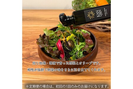 【年12回定期便】自然栽培野菜とKANDANオリーブオイル180gセット　2～3人用