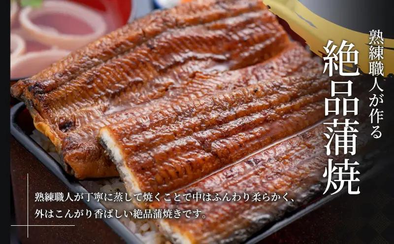 うなぎ 蒲焼き 2尾 (200g以上×2本)セット 国産 うなぎセット 国産うなぎ 浜名湖うなぎ