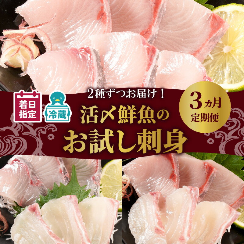 【ふるさと納税】【着日指定】 お刺身 定期便 3回 豪華 鮮魚 延岡産 ブリ 真鯛 カンパチ 季節 魚 国産 活〆 解凍不要 おつまみ カルパッチョ 鮮魚 魚介類 食品 冷蔵 請関水産 グルメ お取り寄せ 宮崎県 延岡市 送料無料