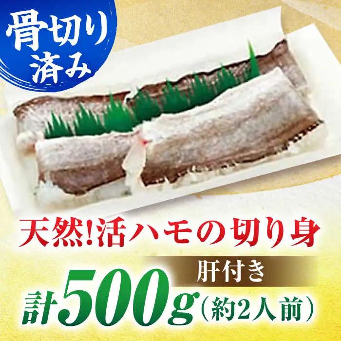 ハモの骨切り 2人前（約500g）【2026年5月上旬から順次発送】ハモ 鱧 湯引き [AGBP006]