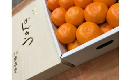 ZF6034n_【完熟早生・有田みかん】化粧箱『特秀』 4kg Lサイズ32個入