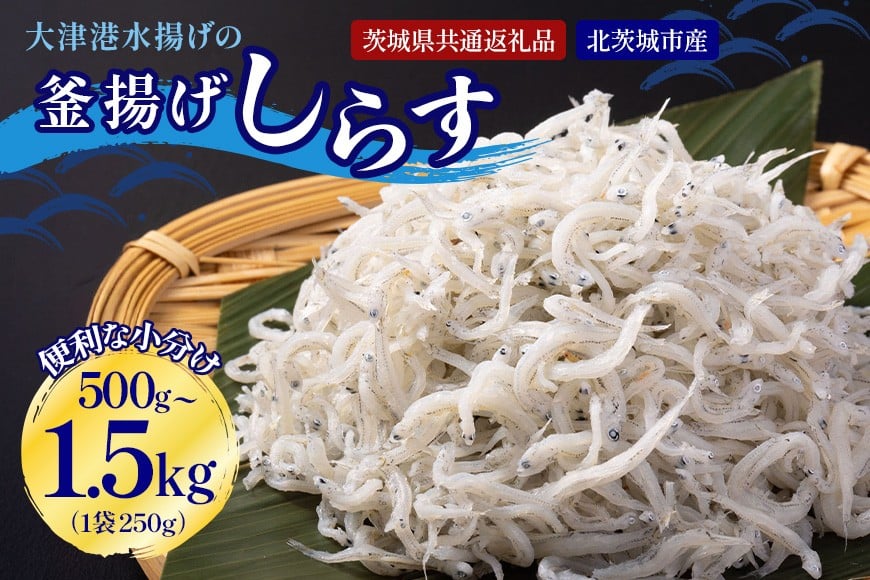 
            大津港水揚げの釜揚げしらす 500g～1.5kg（茨城県共通返礼品・北茨城市産）
          