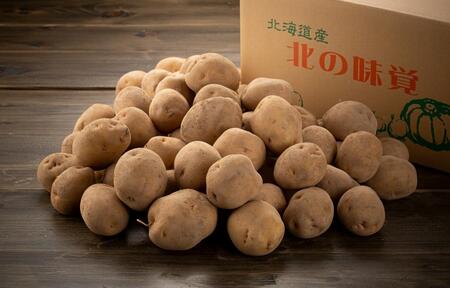 【先行予約】秋とれたて 新じゃが キタアカリ 8kg(2025年10月発送開始予定)北海道産じゃがいも ジャガイモ_03813