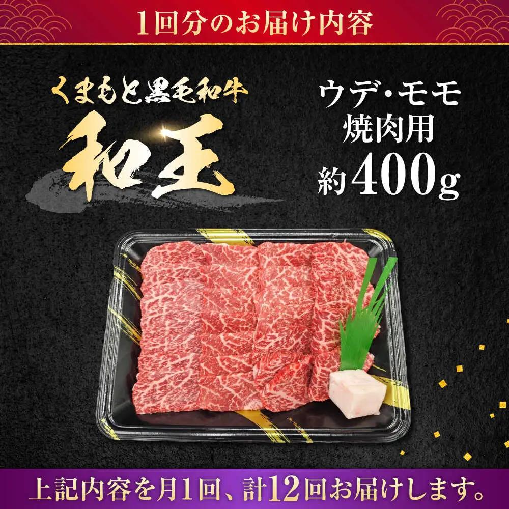 【全12回定期便】熊本県産 A5等級 黒毛和牛 和王 ウデ・モモ 焼肉用 約400g 計約4.8kg 焼肉[AYCH022]