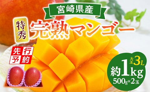 【2025年発送先行予約】《期間・数量限定》完熟！宮崎マンゴー 特秀 大玉3Lサイズ 2玉化粧箱入り