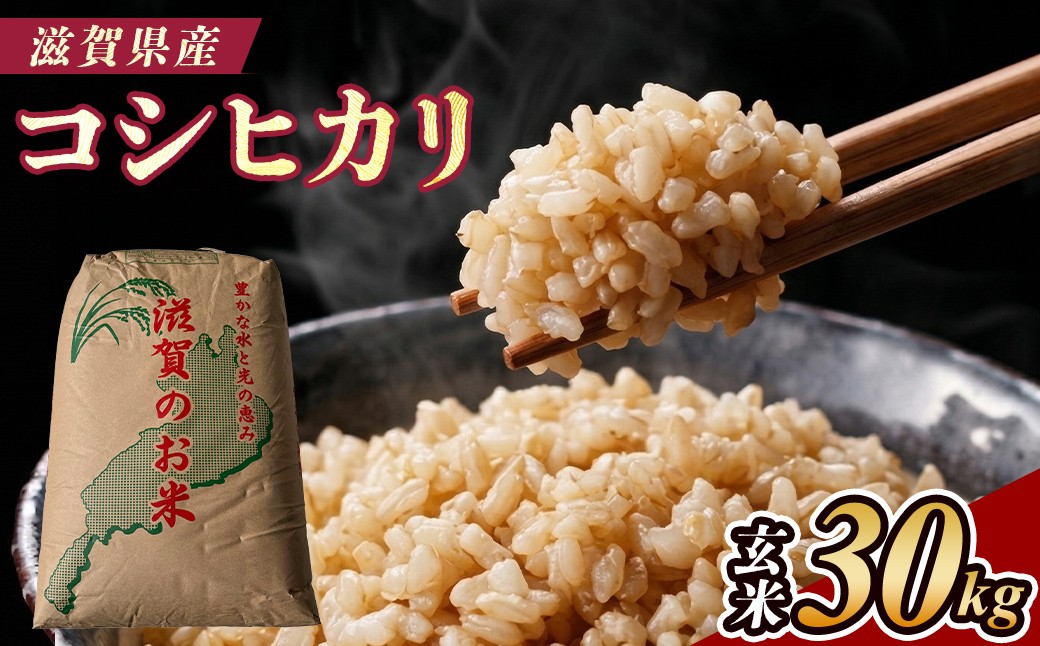 
                  【令和7年産】近江米コシヒカリ玄米30kg
                