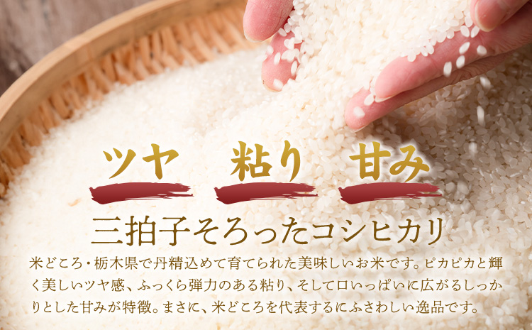 令和7年産 米 お米 コシヒカリ うまかん米 6ヶ月 定期便 5kg JAおやま 《30日以内に出荷予定(土日祝除く)》 栃木県 野木町産 コメ 米 ブランド米 こしひかり【栃木県共通返礼品】
