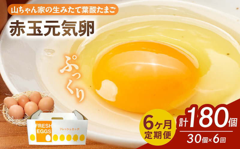 【6ヶ月定期便】【山ちゃん家の生みたて葉酸たまご】赤玉元気卵（30個入り）［132Y06-T］