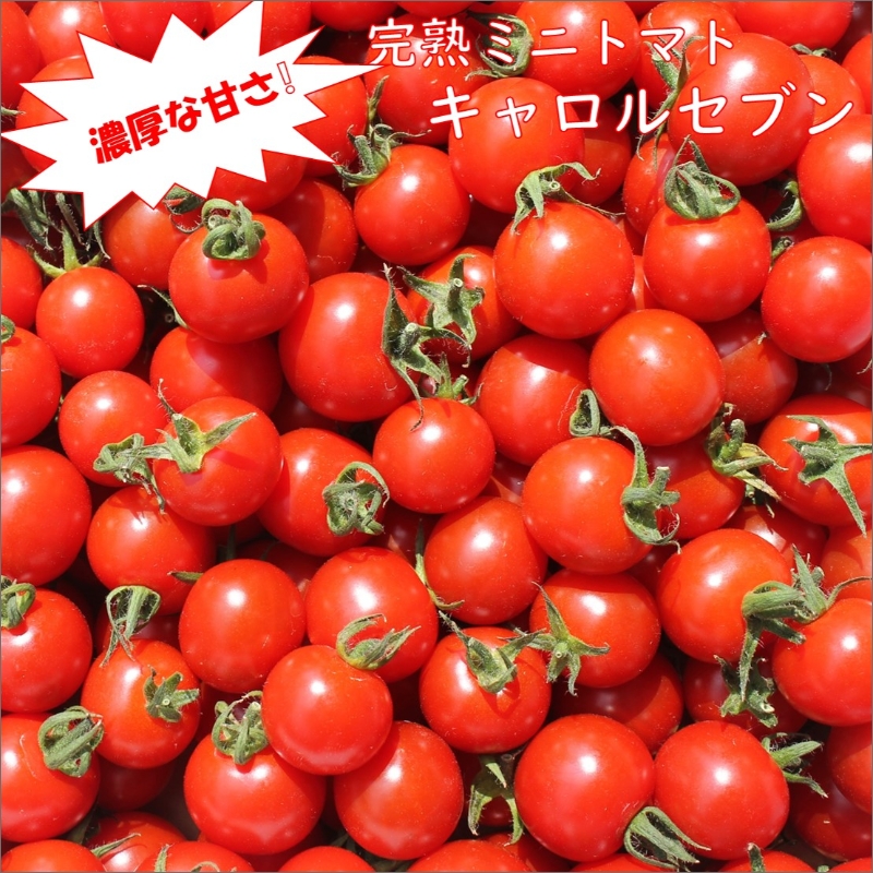 【0138-3】完熟ミニトマト「キャロルセブン」《先行予約》2027年2月より順次発送予定