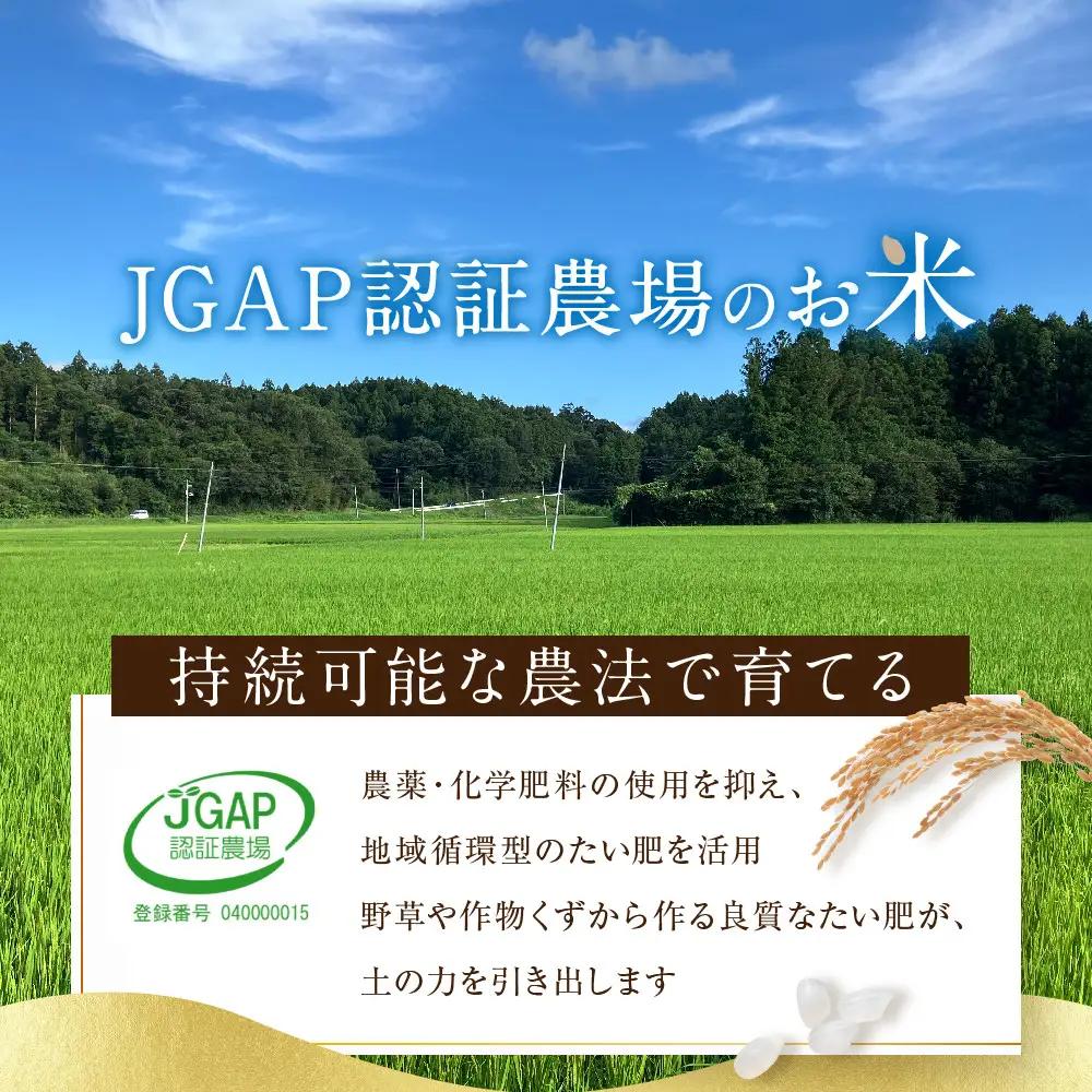 令和8年産 つや姫 5kg×1袋 ｜8年産米 新米予約 つや姫 宮城県角田市産 米 コメ 白米 精米 角田健土農場