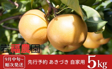 先行予約 和梨 あきづき 自家用 5kg [9月中旬~順次発送予定] 新潟県産 あきづき 梨 訳アリ あきづき [岩福農園] 