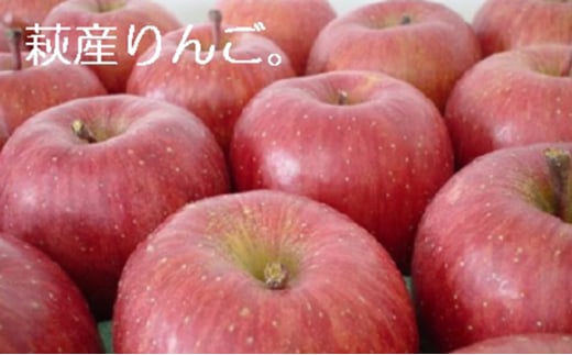 リンゴ 詰め合わせ 萩りんご 萩産 季節の品種  約6～7玉　｜HG000201