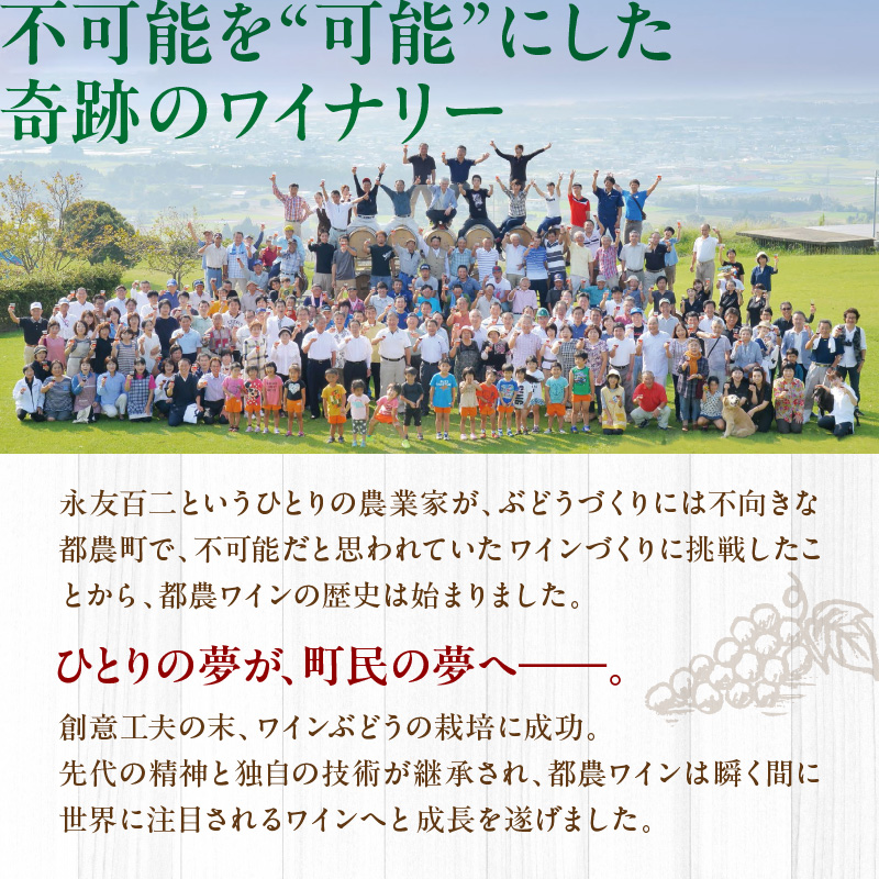 都農ワイン人気4本セット(合計4本)_T014-034【酒 飲料 アルコール 国産 人気 ギフト 食品 お酒 飲み比べ BBQ お土産 贈り物 送料無料 プレゼント】