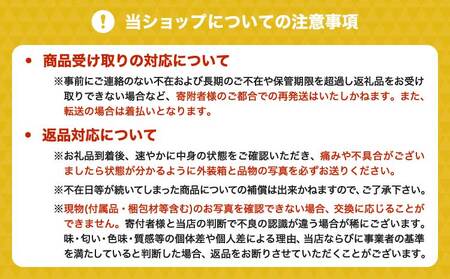 【先行受付】山口果樹園 訳あり 不知火  約5kg L～3L混合【2025年2月上旬から4月上旬発送予定】不知火 しらぬい 蜜柑 くだもの フルーツ 果物