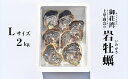 【ふるさと納税】 岩牡蠣 Lサイズ 2kg 以上 魚貝類 殻付き 牡蠣 かき BBQ 上甲商会 愛媛県 愛南町 発送期間: 4月下旬～