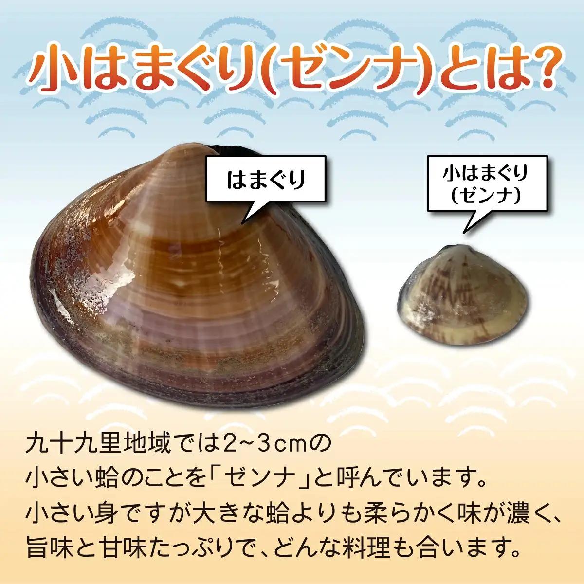 小はまぐり（ゼンナ）1.2kg（400g×3パック） SHF007