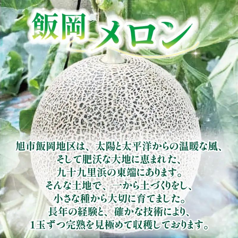メロン 訳あり 2027年 先行予約  食べ比べ 青肉 赤肉 約 11kg タカミメロン