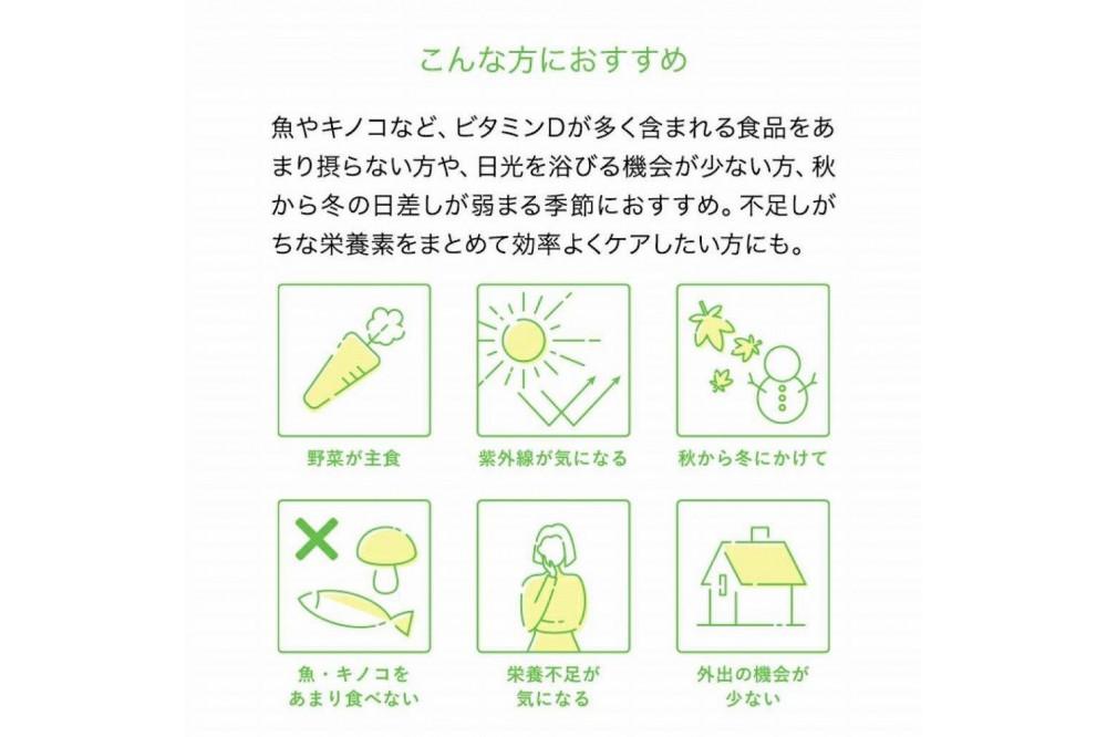 【12ヶ月定期便】【Lypo-C】リポ カプセル ビタミンC＋D（30包入） 1箱 ｜ ビタミンC  ビタミンD 健康 美容 サプリ サプリメント ビタミン 人気 リポソーム おすすめ LypoC L