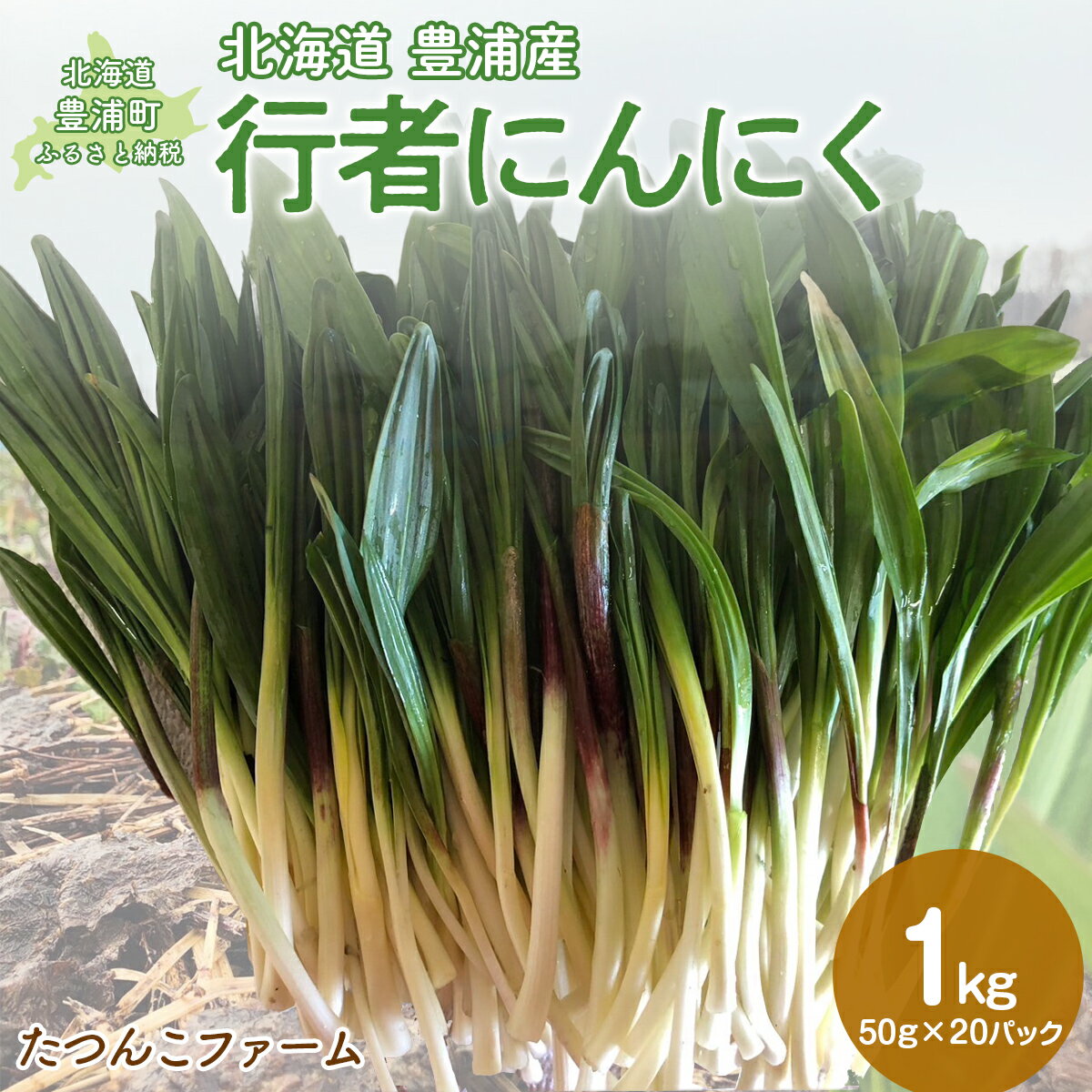 【ふるさと納税】【2026年2月以降順次出荷】北海道豊浦産 行者にんにく 50g×20パック【 ふるさと納税 人気 おすすめ ランキング 野菜 根菜 にんにく 行者 大容量 おいしい 美味しい 新鮮 北海道 豊浦町 送料無料 】 TYUF010