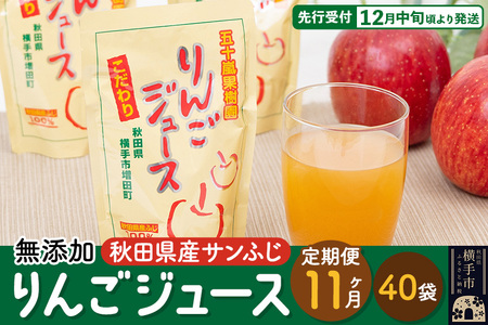 《定期便11ヶ月》 無添加りんごジュース（サンふじ）40パック