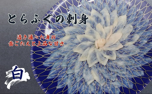 【JALふるさと納税限定】漁協直送！本まぐろ刺身3人前・とらふぐ刺身5人前【E8-008】 まぐろ マグロ 鮪 ふぐ とらふぐ トラフグ 刺身 セット 松浦市