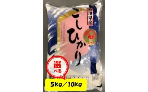 
                  令和６年産 ｢コシヒカリ｣JA香川　
                